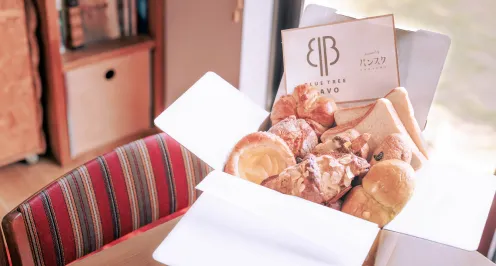 パンスクギフト